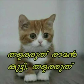 😅 emoji @Farseen_king_of_telegram For You Telegram sticker 16 of 120