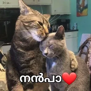 ❤️ emoji @Farseen_king_of_telegram For You Telegram sticker 15 of 120