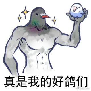 💏 emoji 文明小鸟芋圆 @猛禽bot Telegram sticker 20 of 46