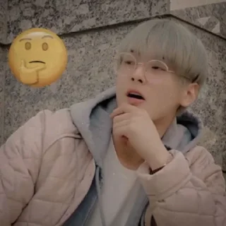 🍂 emoji Cha Eunwoo || @idyllichelp Telegram sticker 8 of 23
