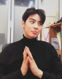 🕸 emoji Cha eunwoo - @arvnbr Telegram sticker 22 of 65