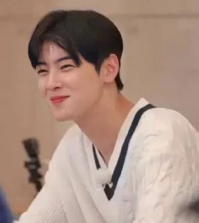 📺 emoji Cha eunwoo - @arvnbr Telegram sticker 14 of 65