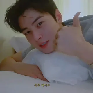 Sticker from Cha Eunwoo @Moontelaxx