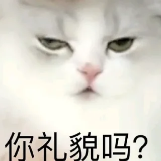 😅 emoji Cat48-丢丢✧٩(ˊωˋ*)و✧ Telegram sticker 7 of 69
