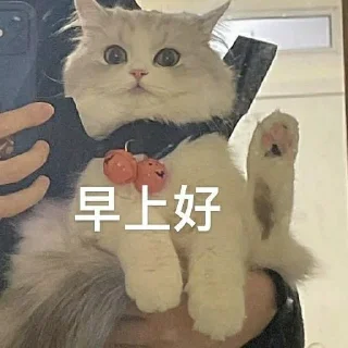 ⛅️ emoji Cat48-丢丢✧٩(ˊωˋ*)و✧ Telegram sticker 20 of 69