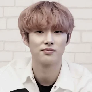🛢 emoji Mingi, 송 ─ ✾ @Shinpoy Telegram sticker 6 of 65