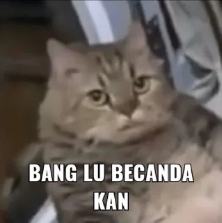 🌟 emoji goyang dumang @minnju_an Telegram sticker 18 of 50