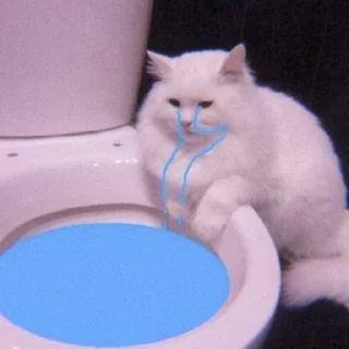 😿 emoji tadika kucing @starglamour Telegram sticker 21 of 50