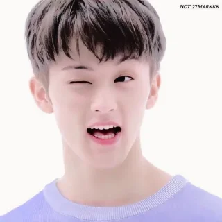 🚁 emoji @inumeowki , mark lee ◡̈ Telegram sticker 6 of 40