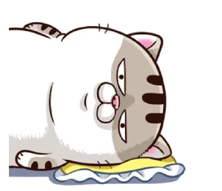 🙃 emoji fat cat Ami 2 (EN) @bistic Telegram sticker 17 of 40