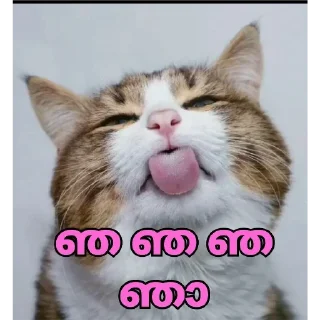 😂 emoji @Angel_Sweetie_Pie1 Vol.3 Telegram sticker 20 of 120