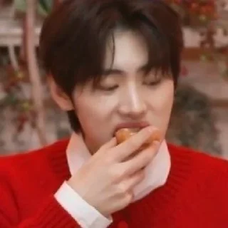 🐧 emoji Sunghoon Random Telegram sticker 19 of 40