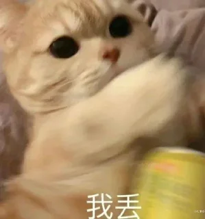 😜 emoji 思晴专属撒~ Telegram sticker 16 of 102