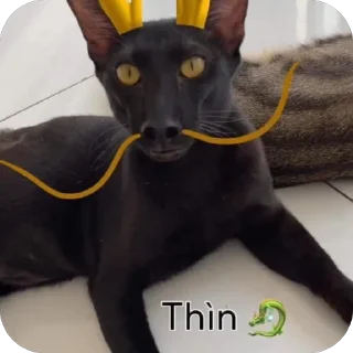 🫥 emoji mew Telegram sticker 17 of 96