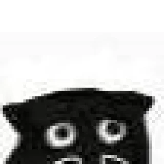 🥹 emoji 黑猫 Telegram sticker 11 of 17