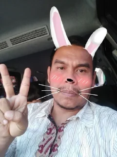 🐰 emoji asalkan baik Telegram sticker 12 of 12