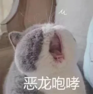 😭 emoji 阿巴阿巴富婆饭饭 @cheshirespack Telegram sticker 11 of 120