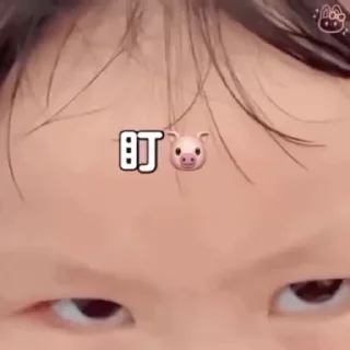 😒 emoji AD微信批发 @adylf Telegram sticker 8 of 50