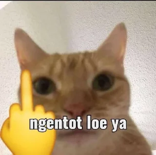 🖕 emoji olivia pacar haechan Telegram sticker 22 of 108