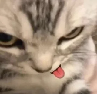 😜 emoji olivia pacar haechan Telegram sticker 15 of 108
