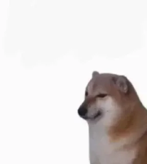 Ishaan's doge pack Vol.63 sticker preview 1