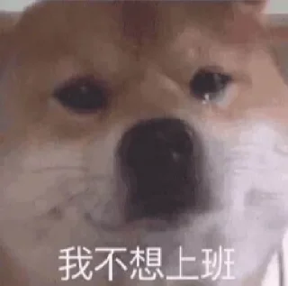 😭 emoji 华人交流群：  @TG_CHone Telegram sticker 9 of 82
