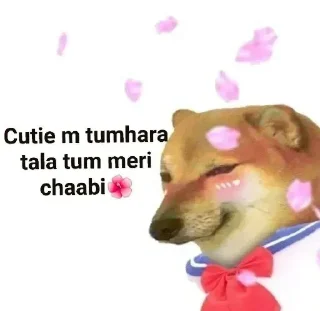 😂 emoji CuTIE // @ZekoxeADV // Telegram sticker 11 of 45