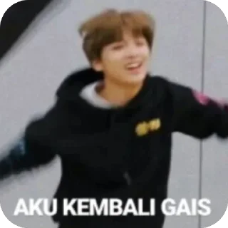 🫥 emoji Jenis ensiti Telegram sticker 19 of 22