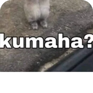 🐶 emoji yang nyolong ketek nya pargoy! 😠 Telegram sticker 24 of 41