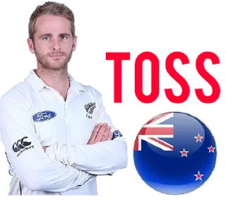 👍 emoji @SAMRAT_THE_KING_2019 CRICKET PACK Telegram sticker 14 of 74