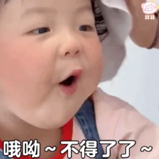🐾 emoji 飞飞的北北 Telegram sticker 9 of 50