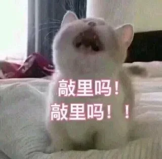 😭 emoji 黑色死神 Telegram sticker 22 of 60