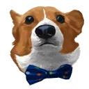 😐 emoji corgi Telegram sticker 12 of 28