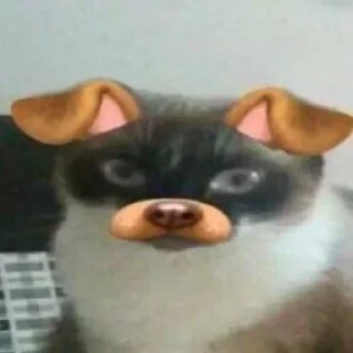 🐶 emoji name Telegram sticker 20 of 52