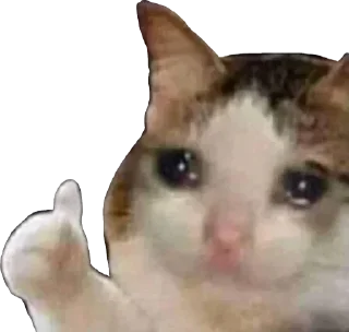 👍 emoji OFFICIAL HACKER Telegram sticker 17 of 116