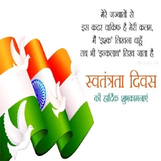 🇮🇳 emoji 🇮🇳 Telegram sticker 5 of 15