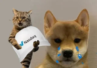 🤣 emoji @Thief_Cattt $NAMI_KOL Telegram sticker 22 of 102
