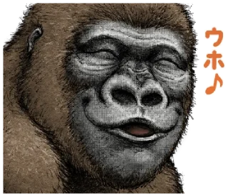😚 emoji Gorilla Gorilla 2 @urfavorito Telegram sticker 5 of 41
