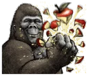 🍎 emoji Gorilla gorilla @stickerscar Telegram sticker 14 of 40