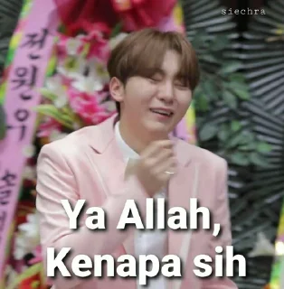 🤪 emoji Seventeen meme @JOYVIBE Telegram sticker 18 of 40