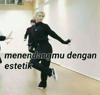 Sticker from Seventeen meme