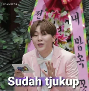 🤪 emoji Seventeen meme @JOYVIBE Telegram sticker 19 of 40
