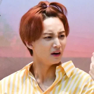 🤨 emoji Seventeen Derp Telegram sticker 5 of 65