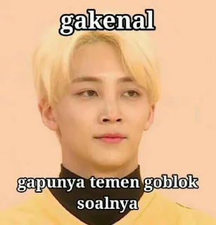 🤣 emoji Seventeen meme Telegram sticker 15 of 15