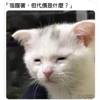 😪 emoji laolei的贴纸包 Telegram sticker 5 of 120