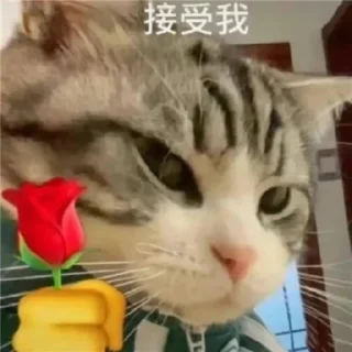🥲 emoji @linshanshanya  林闪闪 Telegram sticker 8 of 77