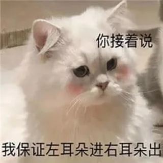🐱 emoji 顾亦的沮丧小屋 @guyichaoku Telegram sticker 12 of 34