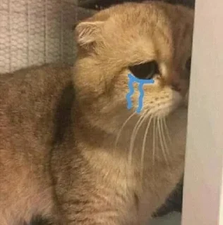 😭 emoji @its_obito ro lo thoda Telegram sticker 14 of 38