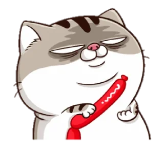 🐱 emoji Annoying Cat by @taerastickers Telegram sticker 6 of 11