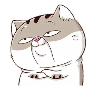 🐱 emoji Annoying Cat by @taerastickers Telegram sticker 2 of 11